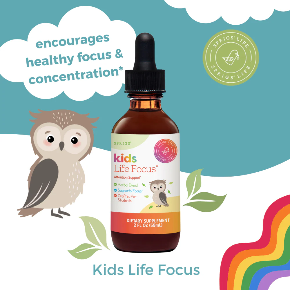 Kids Life Focus - Image 5