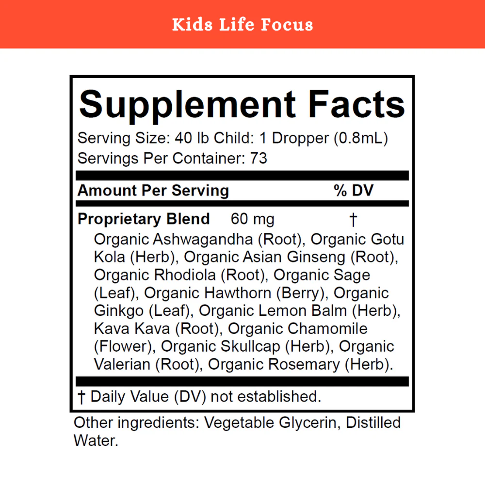 Kids Life Focus - Image 8