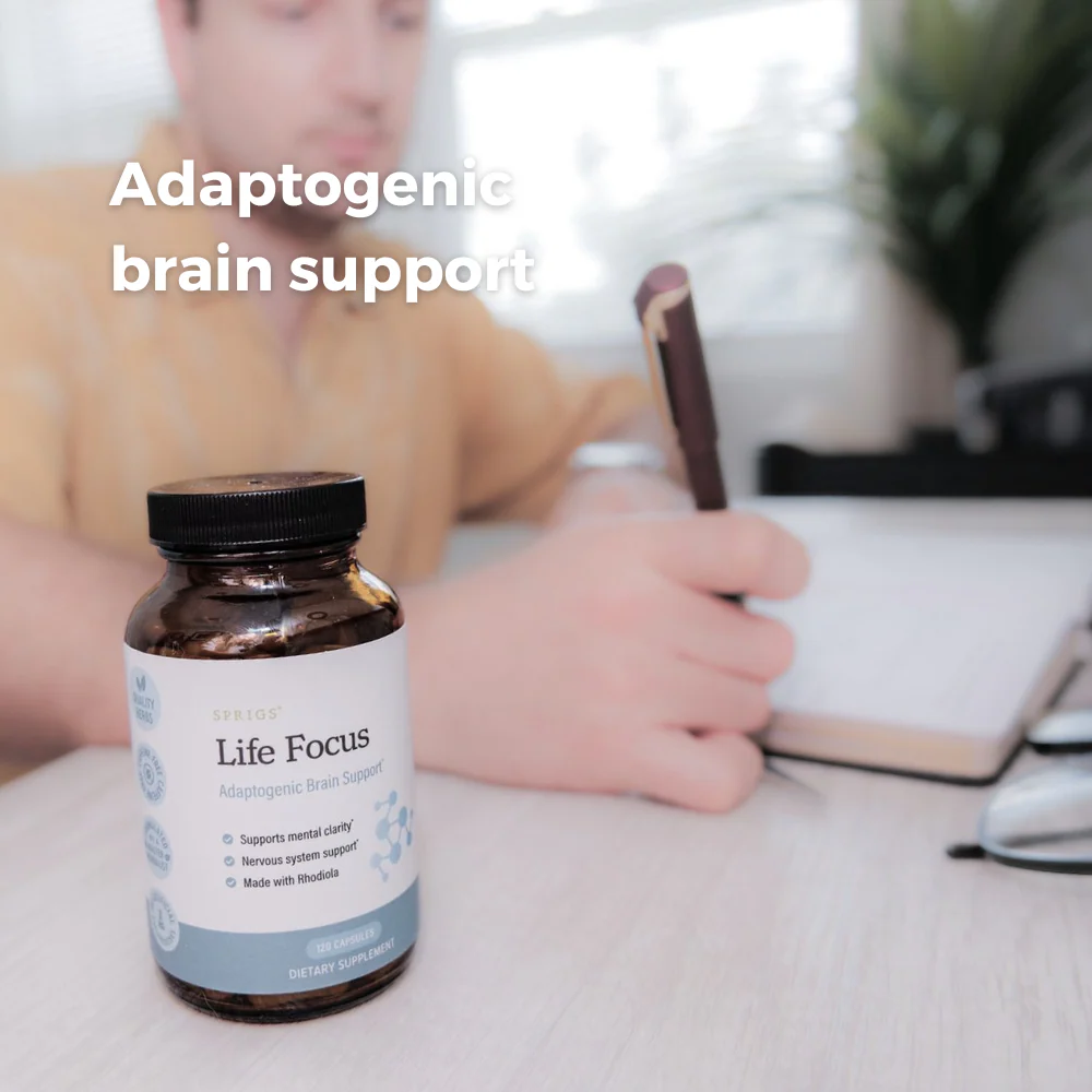 Life Focus - Image 3