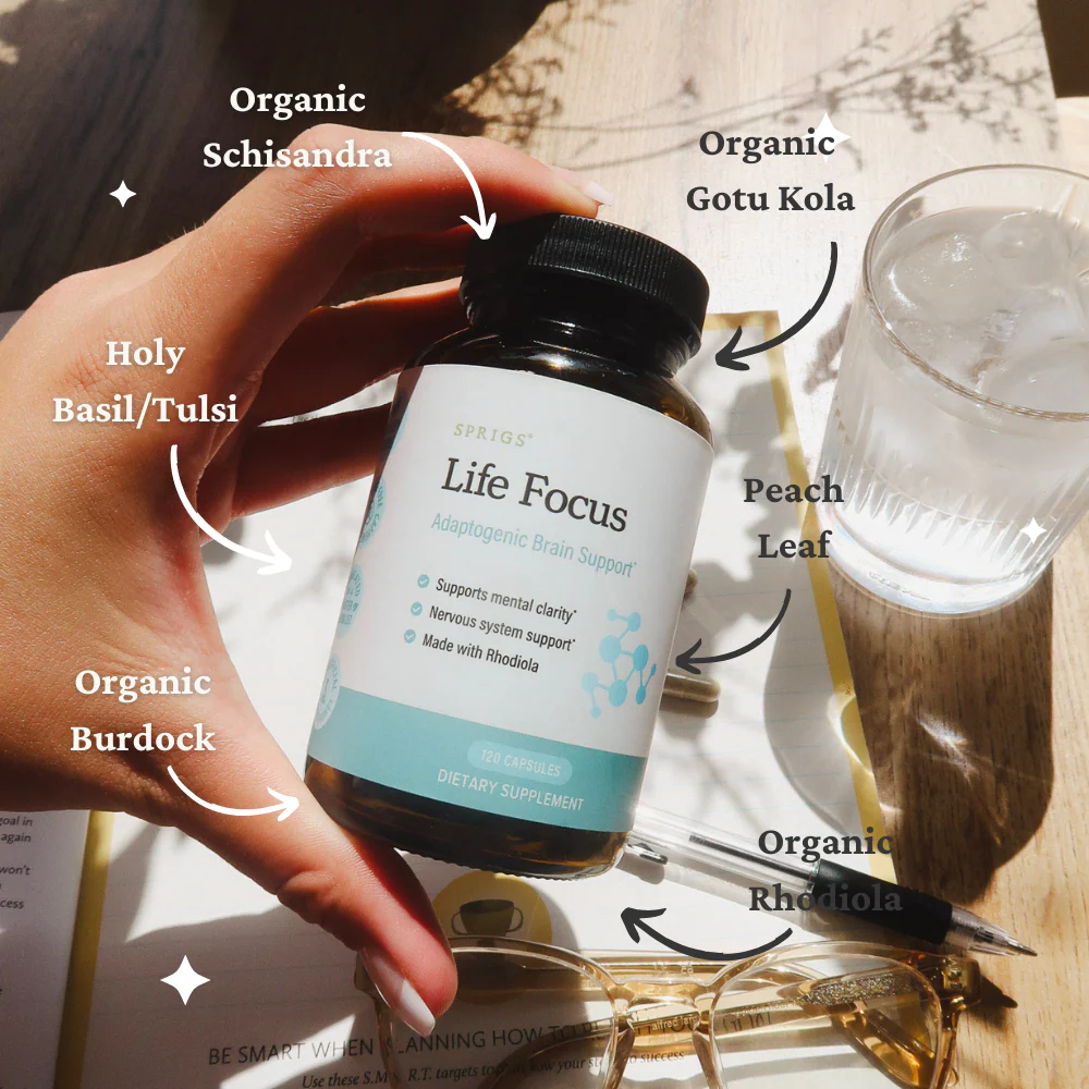 Life Focus - Image 6